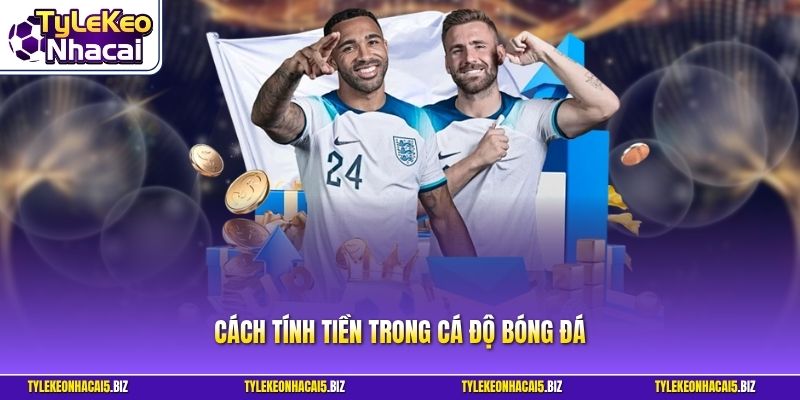 Cách Tính Tiền Trong Cá Độ Bóng Đá Chuẩn Xác Tại Hệ Thống